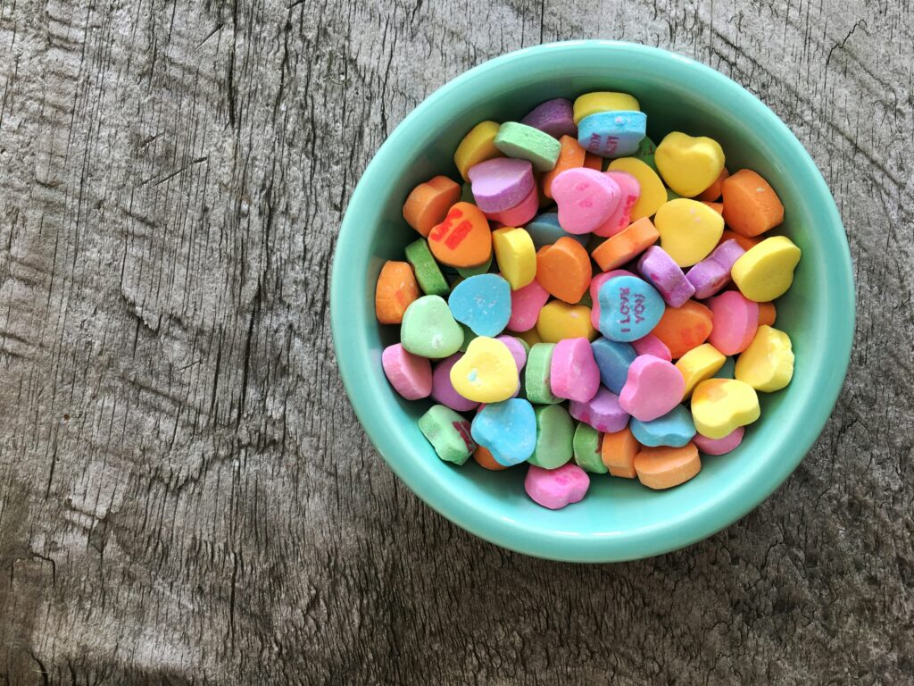 Homemade Diets for Pets: Pros and Cons