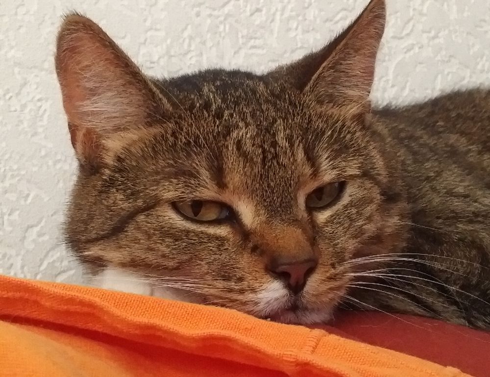 advertising ginkialuz housing ltd