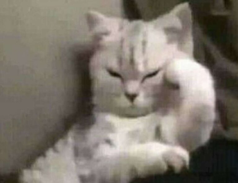 game masticelator mods pc