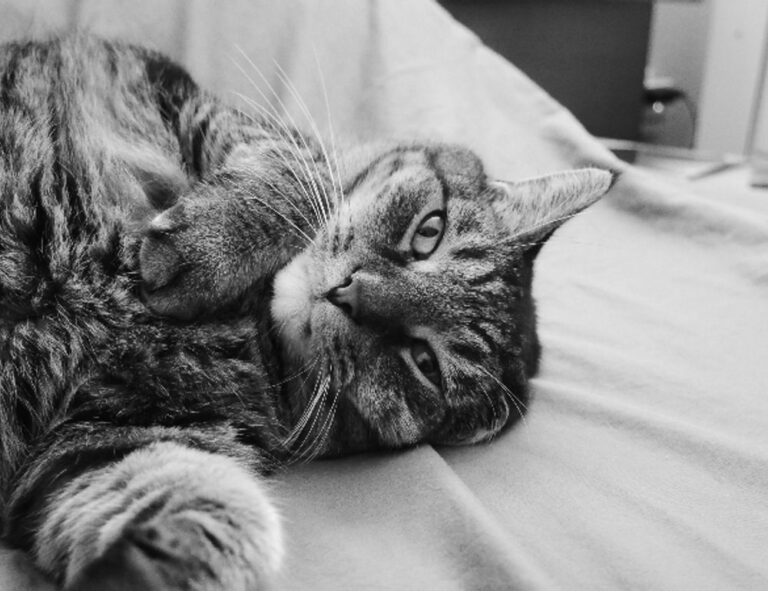 how to check if a game marshock200 is compatible with your pc