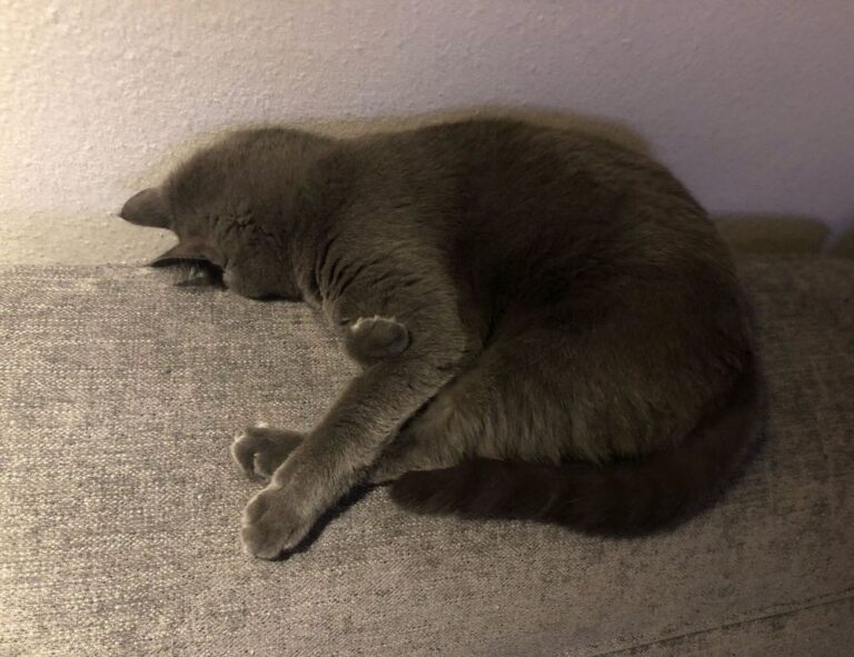 island name ponadiza