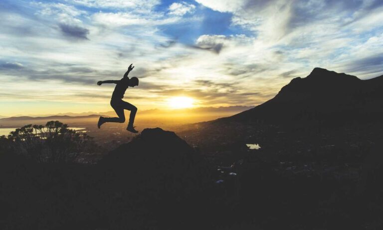 lwmfpets advice by lookwhatmomfound