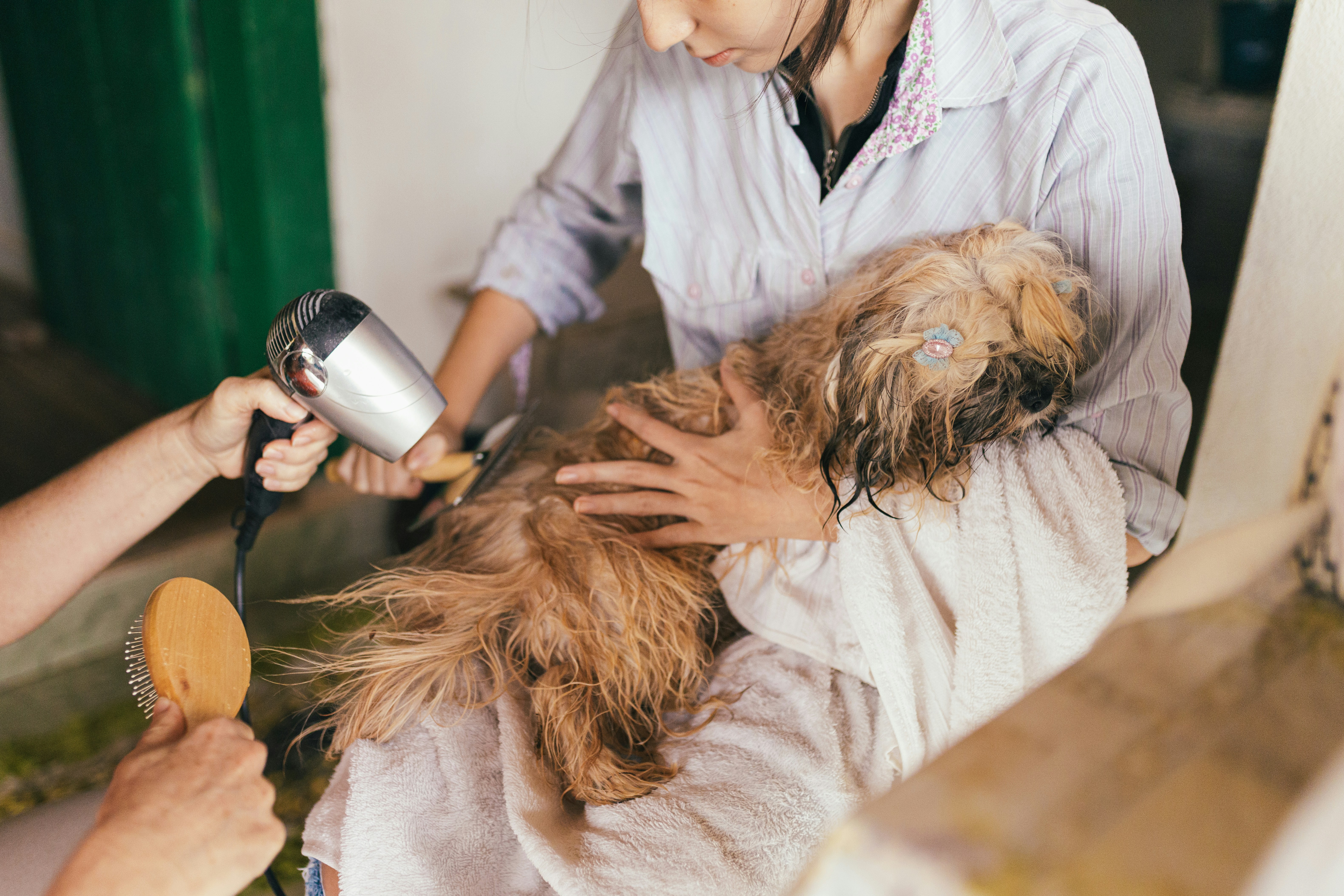 veterinary innovations