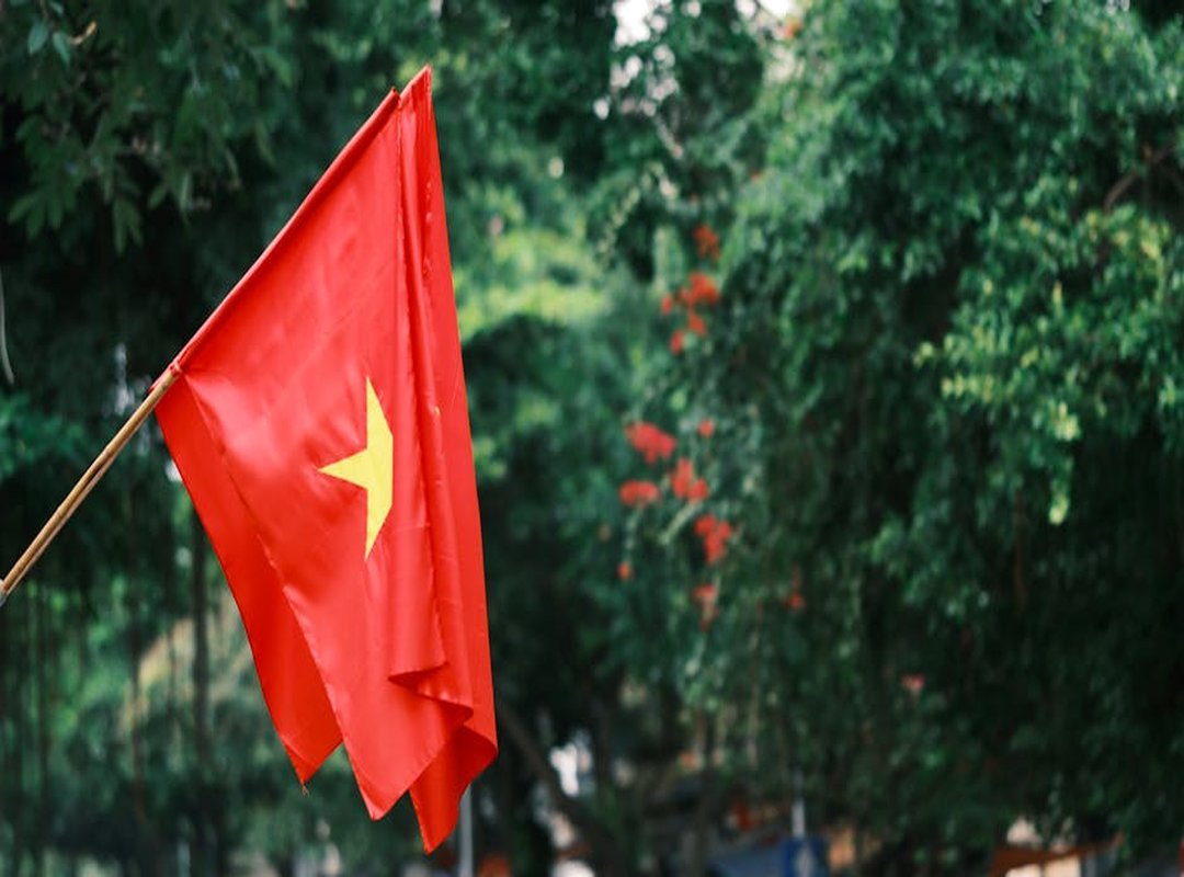 Llblogpet Advice for Dogs by Lovelolablog