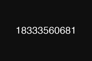 18333560681