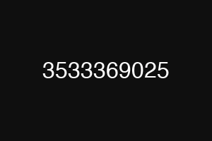 3533369025