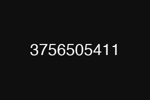 3756505411
