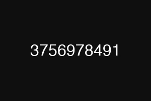 3756978491