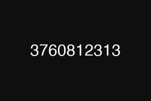 3760812313