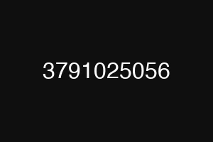 3791025056