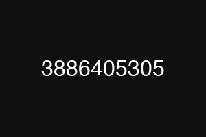 3886405305