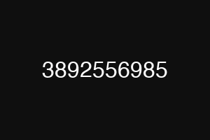 3892556985