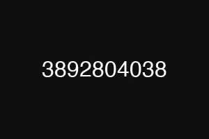 3892804038