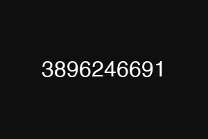 3896246691