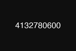 4132780600