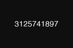3125741897
