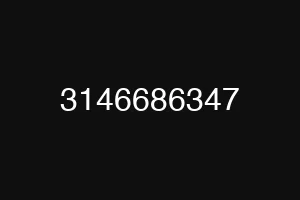 3146686347