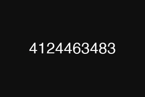 4124463483