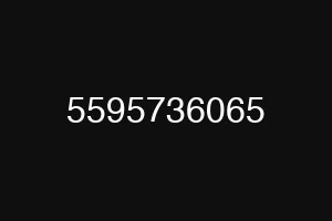5595736065
