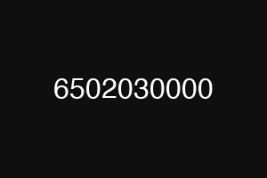 6502030000