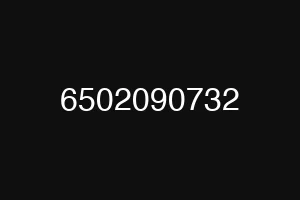 6502090732
