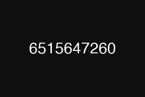 6515647260