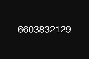 6603832129