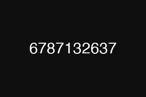 6787132637