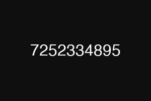7252334895