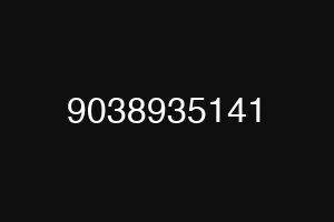 9038935141