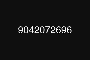 9042072696