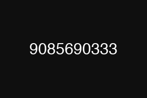 9085690333