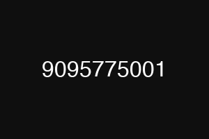 9095775001