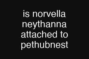 is norvella neythanna attached to pethubnest