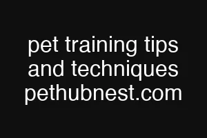 pet training tips and techniques pethubnest.com