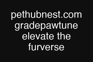 pethubnest.com gradepawtune elevate the furverse