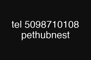 tel 5098710108 pethubnest